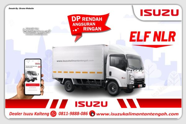 ELF NLR