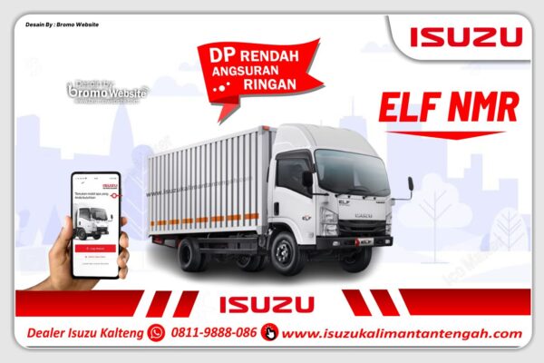 ELF NMR